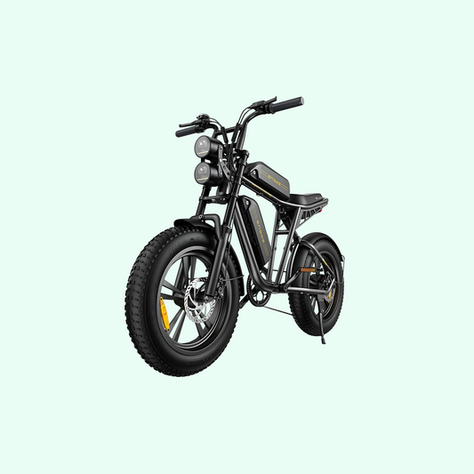 ENGWE M20 – 150KM Range E-Bike, Dual Suspension, 25 km/h (Dual Battery)
